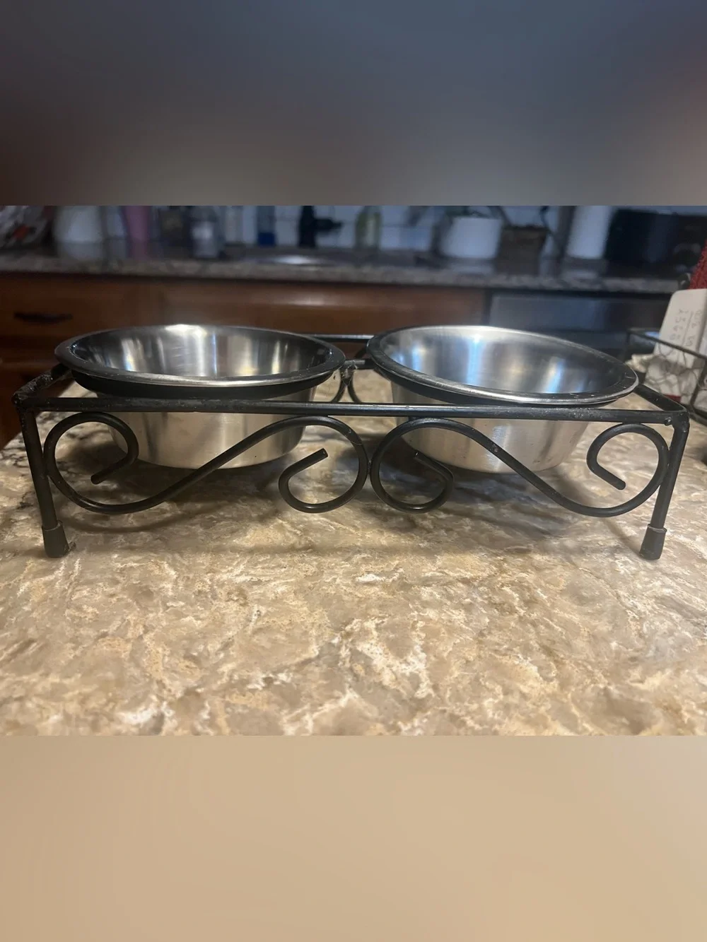 Double Stainless Steel Pet Bowls with Decorative Black Iron Stand